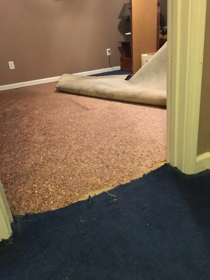 Carpet pad removal revealing water damage during Drying & Dehumidification in Bethlehem